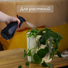 Пульверизатор, 500 мл, МИКС, Greengo - Фото 6