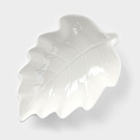 Соусник «Лиственник», 14×10×3 см, керамика, белый - Фото 3