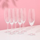 Набор бокалов для шампанского «Лара», 220 мл, 6 шт - фото 318127676