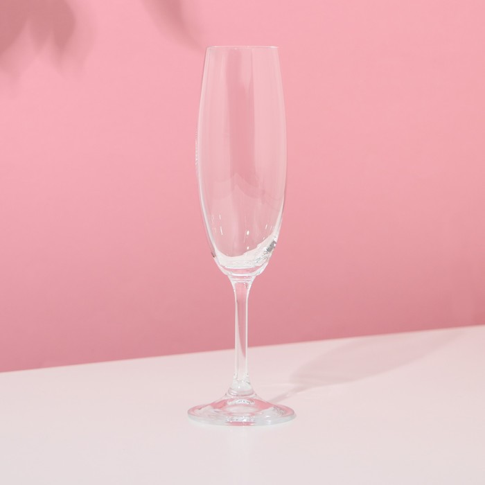 Набор бокалов для шампанского «Лара», 220 мл, 6 шт - фото 1908414174