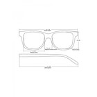 Готовые очки Восток 0056 тонированные, цвет чёрный, отгибающаяся дужка, -2 - Фото 6