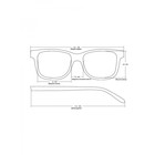 Готовые очки Восток 0056 тонированные, цвет чёрный, отгибающаяся дужка, -2,5 - Фото 6