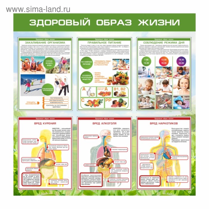 Комплект оборудования для наглядной пропаганды ЗОЖ (стенды) - Стенд "Уголок здор