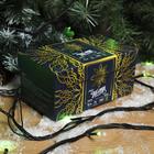 Гирлянда "Нить" 10 м , IP44, УМС, тёмная нить, 72 SMD-LED, свечение зелёное, 220 В - Фото 3