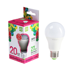 Лампа светодиодная ASD LED-A60-standard, Е27, 20 Вт, 230 В, 6500 К, 1800 Лм - Фото 1