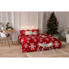 Постельное бельё «Экономь и Я» Новогодние снежинки 1,5 сп. 143×210 см, 150×210 см, 50×70 - 2 шт., микрофайбер, 75 г/м² - фото 52422630