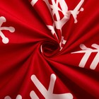 Постельное бельё «Экономь и Я» Новогодние снежинки 1,5 сп. 143×210 см, 150×210 см, 50×70 - 2 шт., микрофайбер, 75 г/м² - фото 52422632