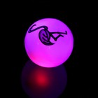 Мяч «Фламинго», световой, 5,5 см - Фото 4
