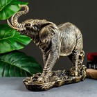 Фигура "Слон" бронза, 43х18х35см - фото 8422504