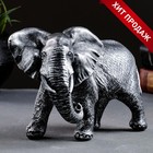 Фигура "Слон африканский" серебро, 18х7х13см - фото 2872507
