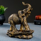 Фигура "Слон " бронза, 17х9х19см - фото 8739217