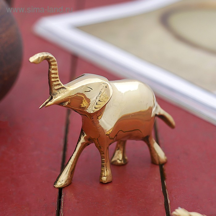 Сувенир "Слон" латунь 9х3,5х8 см - Фото 1