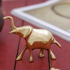 Сувенир "Слон" латунь 9х3,5х8 см - фото 8422569