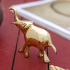 Сувенир "Слон" латунь 9х3,5х8 см - фото 8422570