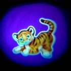 Проектор-фонарик «Мир животных», 3 слайда, 24 картинки - Фото 6