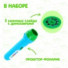 Проектор-фонарик «Эра динозавров», свет, 3 слайда, 24 картинки, цвета МИКС - Фото 2