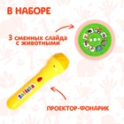 Проектор-фонарик «Мир зверей», световые эффекты, 3 слайда, 24 картинки, МИКС - Фото 2