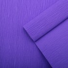 Бумага креп, простой, цвет фиолетовый, 0,5 х 2,5 м - Фото 1