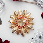 Брошь «Цветок» маргаритка, цвет красно-белый в золоте - Фото 2