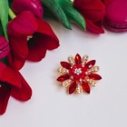 Брошь «Цветок» маргаритка, цвет красно-белый в золоте - Фото 3