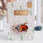 Брошь «Жук», цвет серо-коричневый в черненой меди - Фото 1