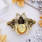Брошь «Муха» крупная, цвет коричневый в черненом золоте - Фото 2