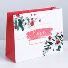 Пакет подарочный ламинированный, упаковка, «Любовь дарит тебе счастье», 22 х 17.5 х 8 см - фото 319786630