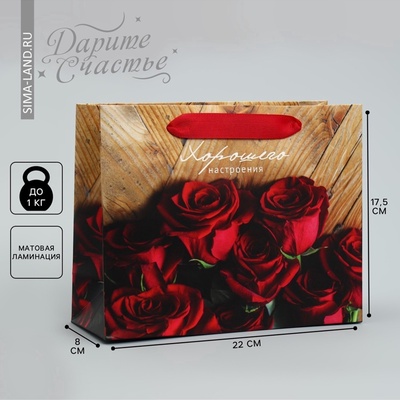 Пакет подарочный ламинированный, упаковка, «Хорошего настроения», 22×17.5×8 см