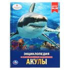 Энциклопедия с развивающими заданиями «Акулы» - фото 9412153