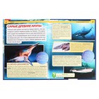Энциклопедия с развивающими заданиями «Акулы» - Фото 5