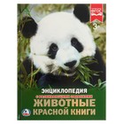 Энциклопедия с развивающими заданиями «Животные красной книги» - Фото 1