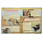 Энциклопедия с развивающими заданиями «Хищники» - Фото 2