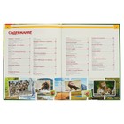 Энциклопедия с развивающими заданиями «Хищники» - Фото 4