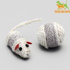 Набор витых игрушек для кошек: мышь 7 см шарик 4 см, сизаль, цвет МИКС - Фото 1