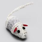 Набор витых игрушек для кошек: мышь 7 см шарик 4 см, сизаль, цвет МИКС - Фото 2