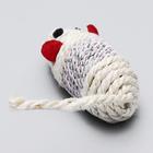 Набор витых игрушек для кошек: мышь 7 см шарик 4 см, сизаль, цвет МИКС - Фото 3