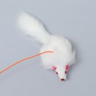 Дразнилка-удочка с белой мышью из натурального меха, 46 см - фото 8423167