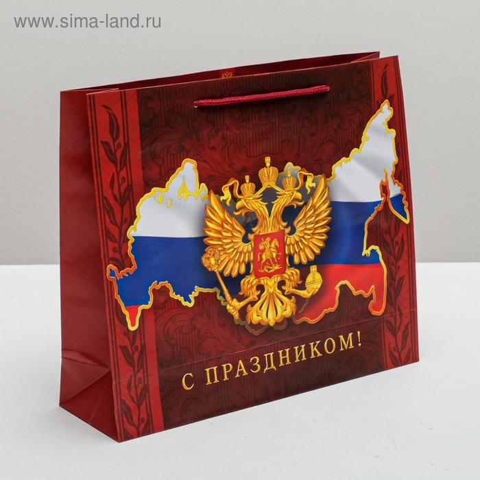 Пакет ламинированный горизонтальный «Во славу Отечества!», M 26 × 30 × 9 см - Фото 1