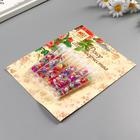 Пайетки в капсуле "Цветы объёмные" 2 гр набор 6 шт 17х13 см 3623129