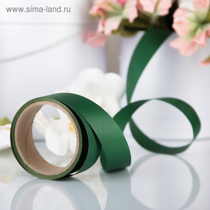 Лента для декора и подарков "Аспидистр", зелёный, тиснение, 3 см х 10 м - Фото 1