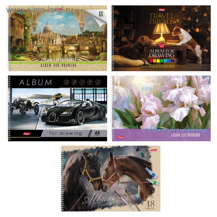 Альбом для рисования Hatber «Ассорти» А4, 48 листов, на гребне, отрывные листы, плотность листов 100 г/м², обложка из мелованного картона, МИКС - Фото 1