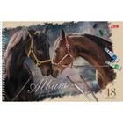 Альбом для рисования Hatber «Ассорти» А4, 48 листов, на гребне, отрывные листы, плотность листов 100 г/м², обложка из мелованного картона, МИКС - Фото 2