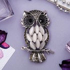 Брошь «Сова таёжная», цвет серый в чернёном серебре - Фото 1
