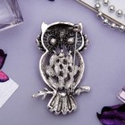 Брошь «Сова таёжная», цвет серый в чернёном серебре - Фото 3