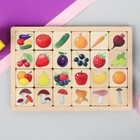 Игра развивающая деревянная «Овощи, фрукты, ягоды, грибы» - фото 6195480
