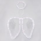 Карнавальный набор «Ангел», 2 предмета: нимб, крылья, цвет белый, 3-5 лет - фото 321061611