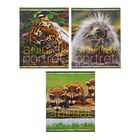 Тетрадь 18 листов клетка Animal portret, картонная обложка, МИКС - Фото 1