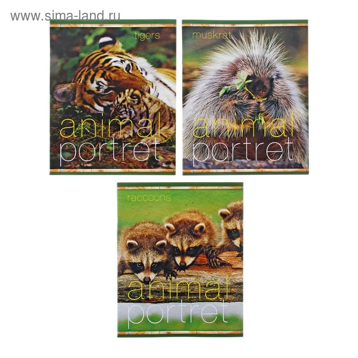 Тетрадь 18 листов клетка Animal portret, картонная обложка, МИКС - Фото 1
