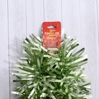 Мишура новогодняя «Зимнее волшебство. Мега», пышная, d = 11 см, 200 см, МИКС 3555322