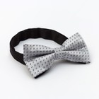 Набор KAFTAN «Для особого случая»: носки и бабочка, размер 41–44 (27–29 см) - Фото 4